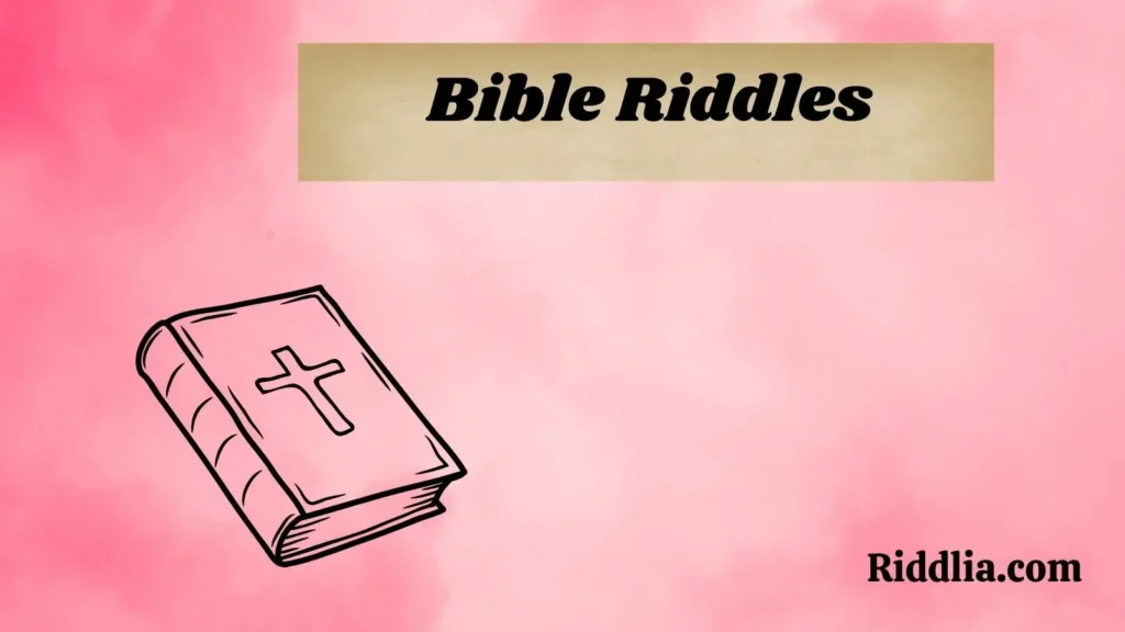 Bible Riddles