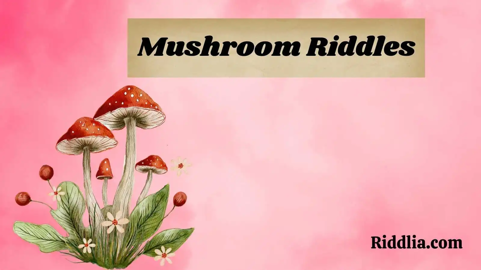 Mushroom Riddles