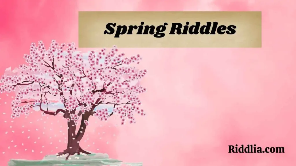 Spring Riddles