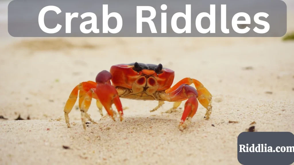 Crab Riddles