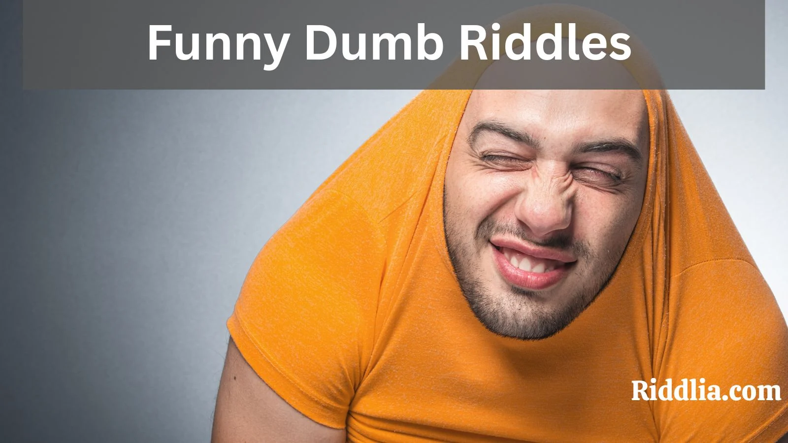 Funny Dumb Riddles
