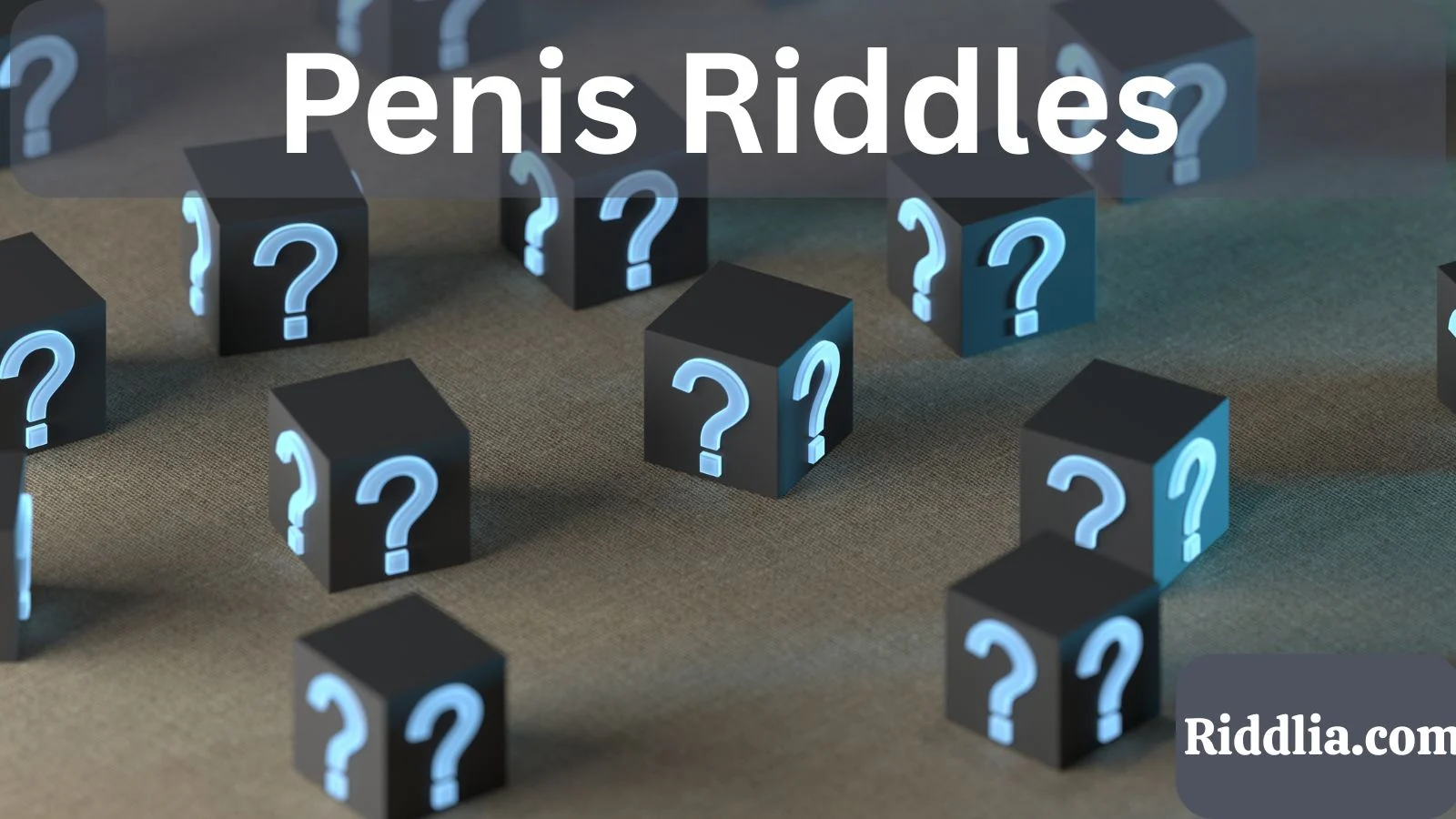 Penis Riddles