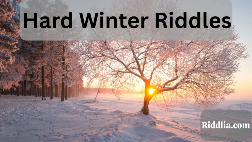 Winter Rizz Lines for the Bold and Adventurous