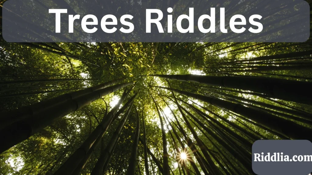 Trees Riddles