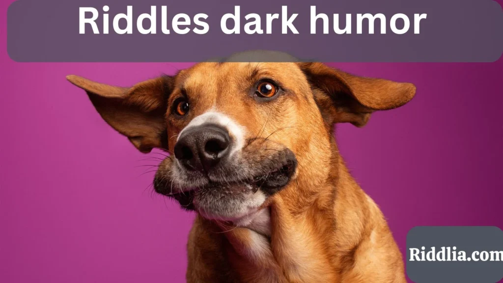 Riddles dark humor