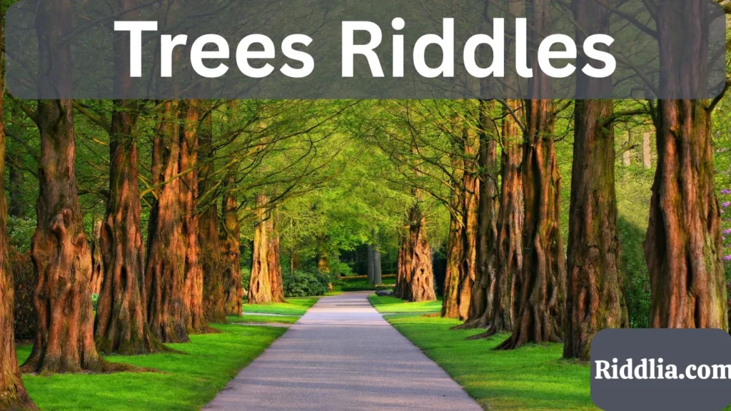 Trees Riddles